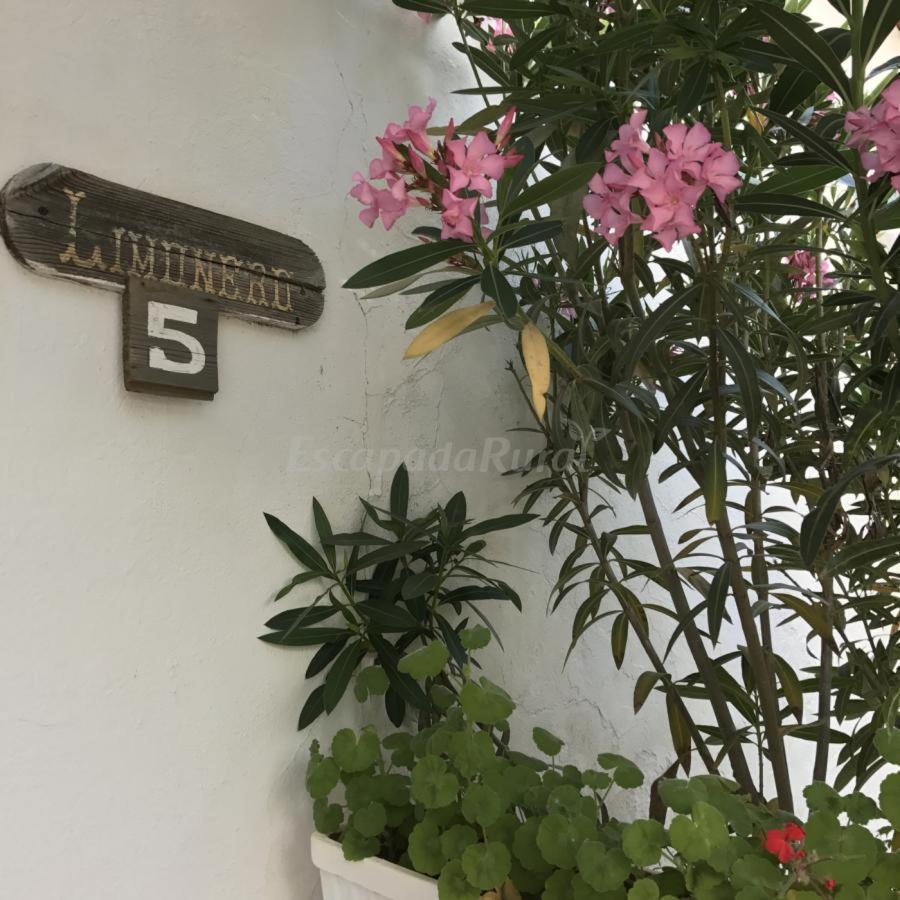 Finca La Vicacaria Limonero Zufre Bagian luar foto